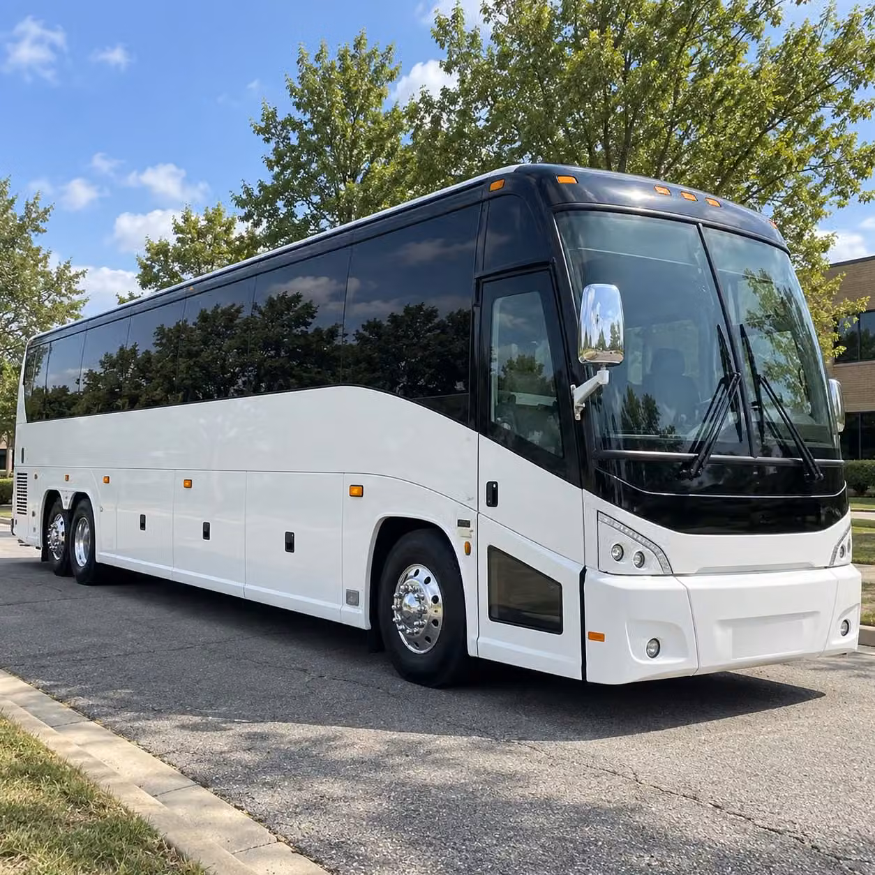 woodland park zoo and aquarium field trip bus rentals in seattle